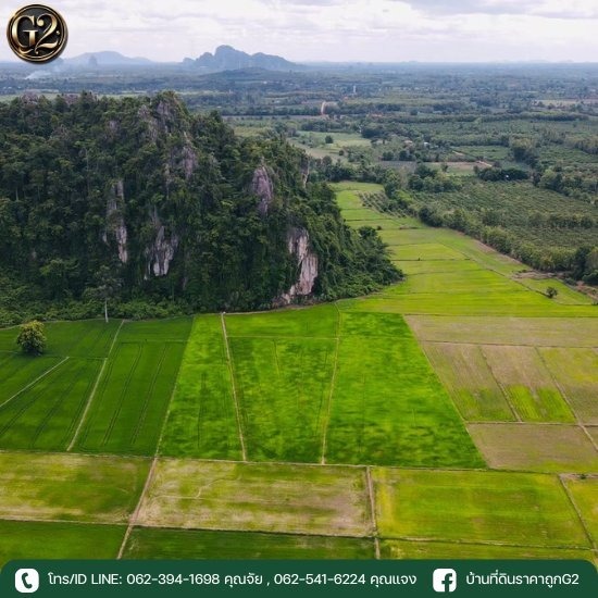 ขายที่ดินในจังหวัดพิษณุโลก ราคาถูก - ขายบ้านที่ดินราคาถูก - บริหารหนี้ จี2 พิษณุโลก