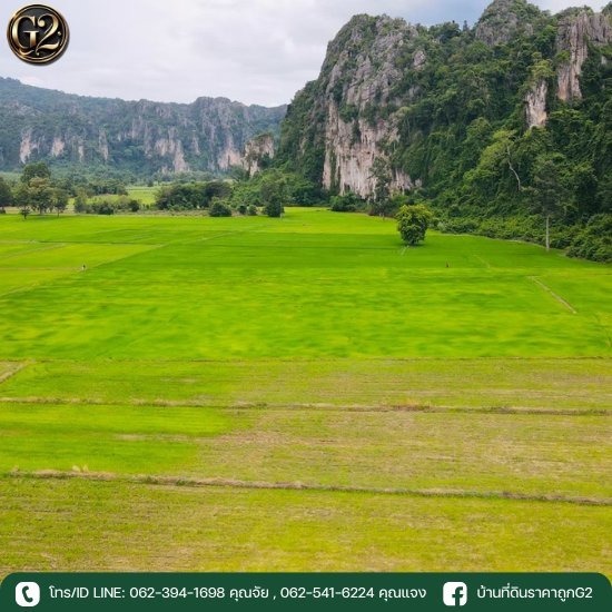 ขายที่ดินในจังหวัดสุโขทัย ราคาถูก ขายที่ดินในจังหวัดสุโขทัย ราคาถูก