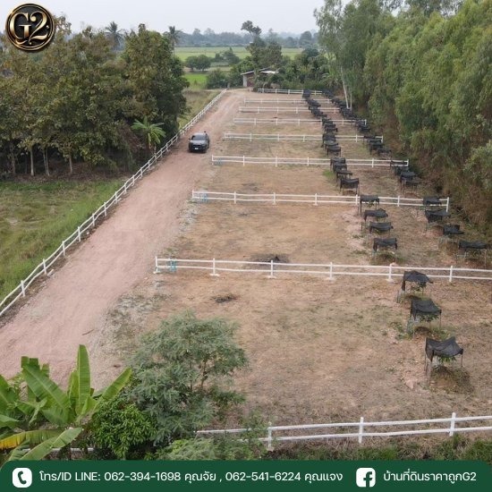 ที่ดินแบ่งขาย พิษณุโลก - ขายบ้านที่ดินราคาถูก - บริหารหนี้ จี2 พิษณุโลก
