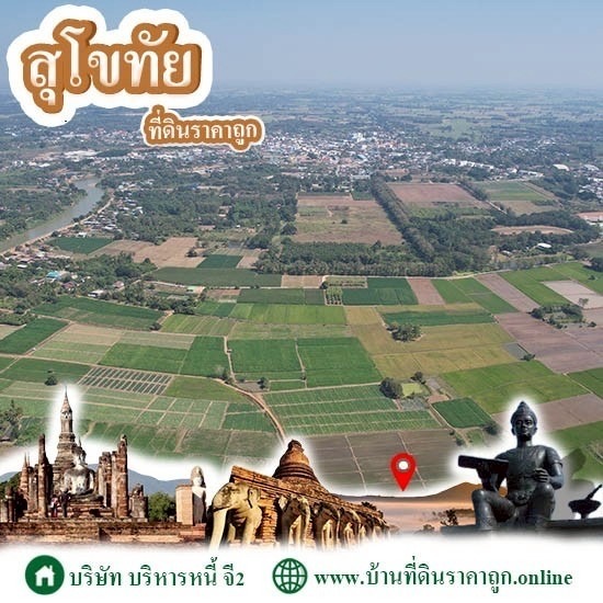 ขายที่ดินในจังหวัดสุโขทัย ราคาถูก