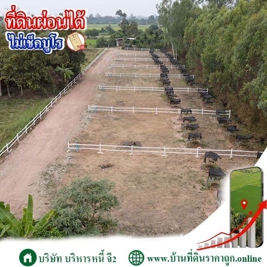 ที่ดินผ่อนได้ ไม่เช็คบูโร - บ้านที่ดินราคาถูก G2 โดย บริษัทบริหารหนี้ จี2 จำกัด ที่ดินผ่อนได้ ไม่เช็คบูโร - บ้านที่ดินราคาถูก G2 โดย บริษัทบริหารหนี้ จี2 จำกัด